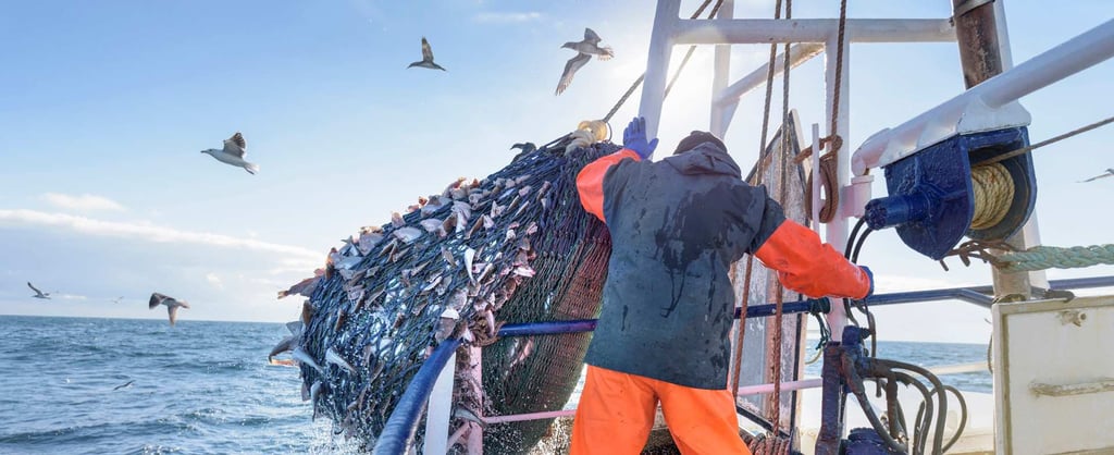 Trawler net - 1920 x 785