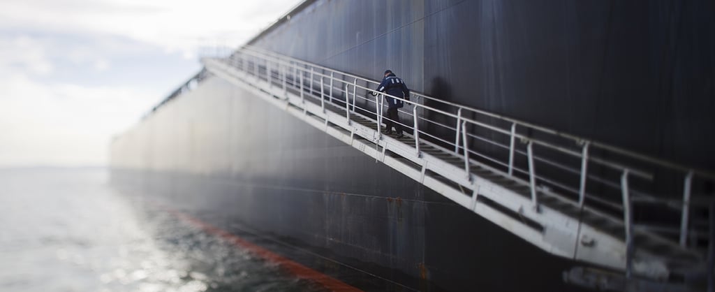 Personnel boarding a ship