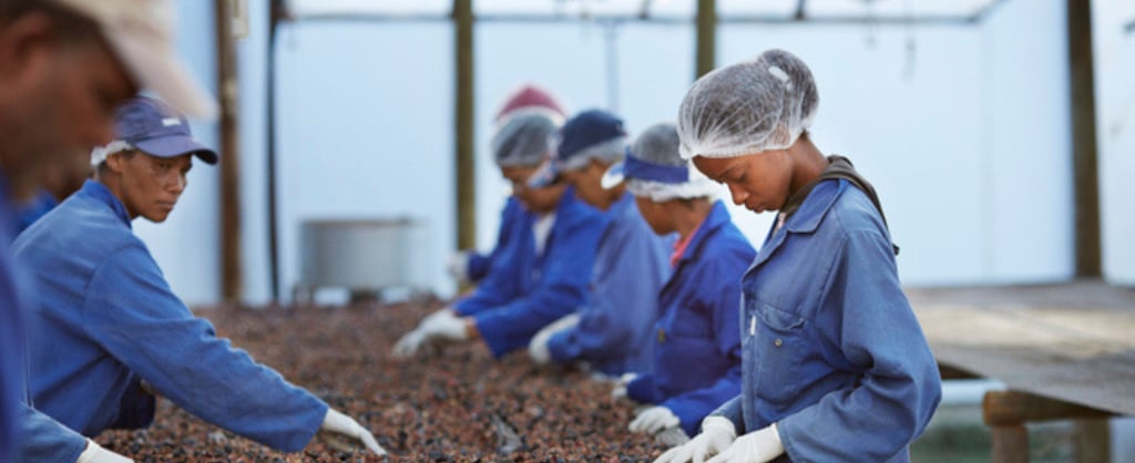 Image of people processing food in a factory