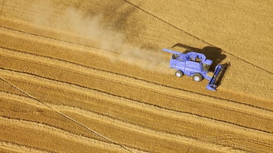 Aerial wheat harvest