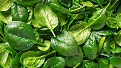 SQF certification - spinach