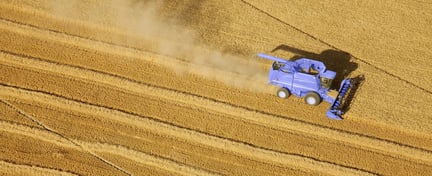 Aerial view of wheat harvest