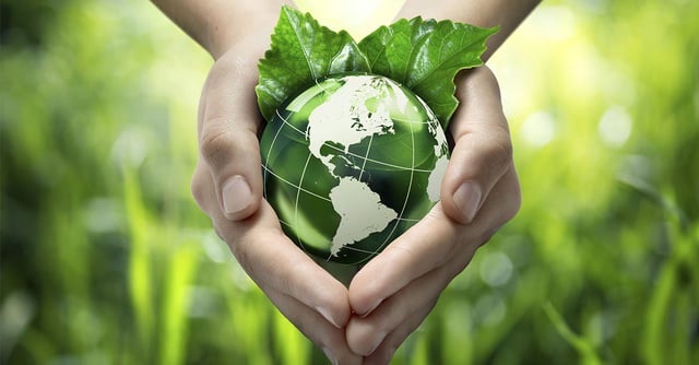 Green image with hands holding a globe