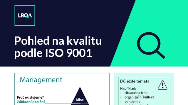 IS)9001 quality infographic CZ