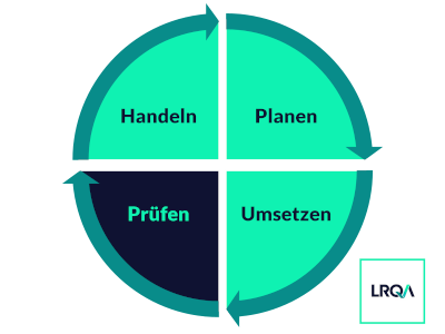 PDCA-Zyklus prüfen