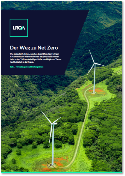 Artikel: Der Weg zu Net Zero